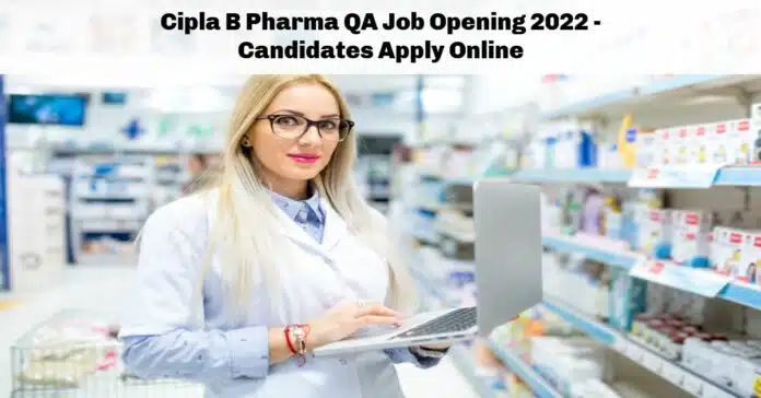 Cipla B Pharma QA Job Opening 2022 - Candidates Apply Online Cipla B Pharma QA Job Opening 2022 - Candidates Apply Online