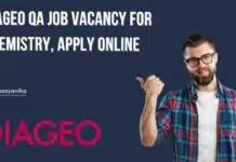 DIAGEO Senior Executive Quality Assurance Job – Apply Now! DIAGEO QA Job Vacancy