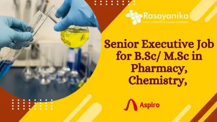Senior Executive Job Senior Executive Job