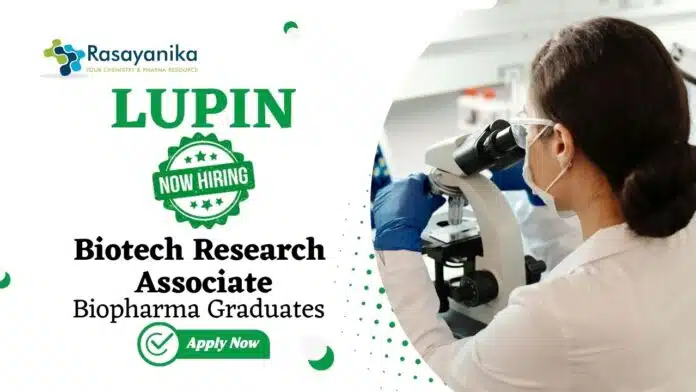 Research Associate Jobs at Lupin Biopharma Graduates Apply Now Research Associate Jobs at Lupin | Biopharma Graduates Apply Now