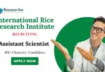 BSc Chemistry Jobs at IRRI | Apply Now for Assistant Scientist Role BSc Chemistry Jobs at IRRI | Apply Now for Assistant Scientist Role