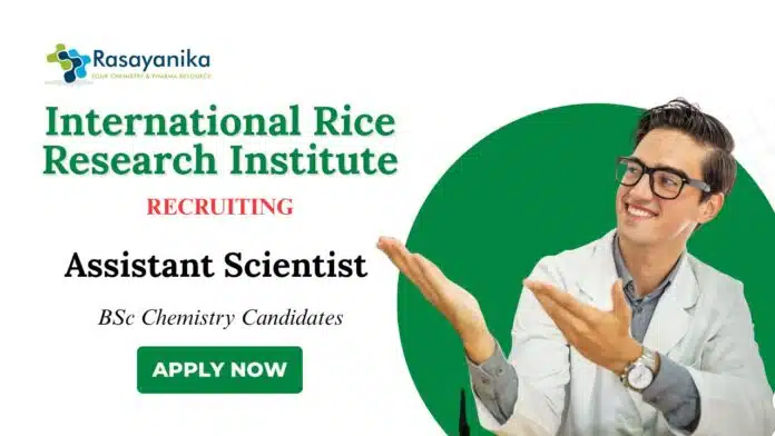 BSc Chemistry Jobs at IRRI | Apply Now for Assistant Scientist Role BSc Chemistry Jobs at IRRI | Apply Now for Assistant Scientist Role