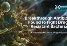 Breakthrough Antibiotic Found to Fight Drug-Resistant Bacteria Breakthrough Antibiotic Found to Fight Drug-Resistant Bacteria