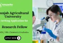Research Fellow at Punjab Agricultural University – Chemistry Candidates Apply Chemistry Job Punjab Agricultural University Recruitment Ludhiana Recruitment 2025