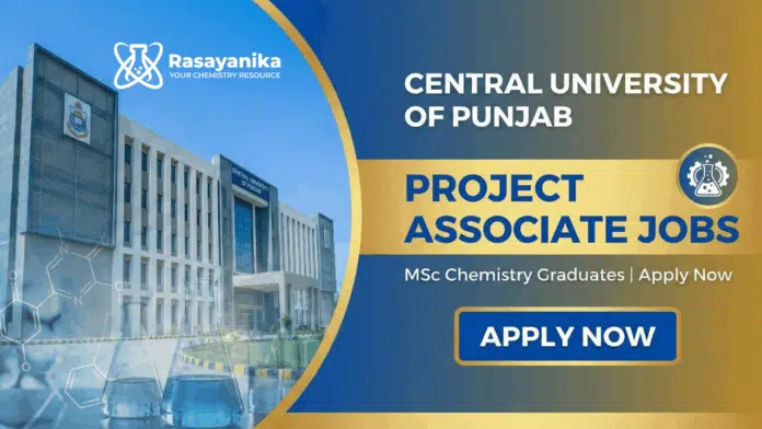 Project Associate Jobs at Central University of Punjab | Apply Now Project Associate Jobs at Central University of Punjab | Apply Now