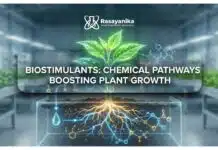 How Biostimulants Work: Chemical Pathways That Boost Plant Growth How Biostimulants Work: Chemical Pathways That Boost Plant Growth