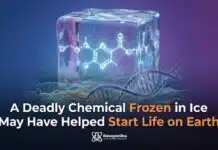 Frozen Hydrogen Cyanide May Have Helped Start Life on Earth Deadly Chemical: Hydrogen Cyanide Helped Start Life on Earth