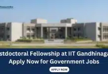 IIT Gandhinagar is inviting applications for Postdoctoral Fellowship | Apply Now Postdoctoral Fellowship at IIT Gandhinagar | Government Jobs
