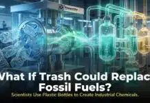 Plastic Bottles Aren’t Waste Anymore; Scientists Turned Them Into Industrial Chemicals Researchers transform plastic waste and old battery acid into valuable industrial chemicals using a sunlight-powered green chemistry process.
