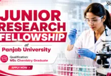 Govt. Research Fellowship at Panjab University Recruitment | MSc Chemistry Panjab University Recruitment: Research Fellow Jobs