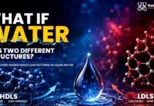 AI Finds Strong Evidence That Liquid Water May Contain Two Different Molecular Structures Artificial Intelligence Uncovers Two Hidden Molecular Structures in Water