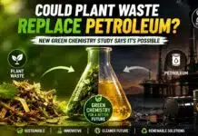 Forget Petroleum? Green Chemistry Finds a Better Use for Plant Waste Green chemistry breakthrough enables lignin from plant waste to become a renewable alternative to petroleum-based chemical production.