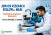 Govt Research Fellowship at NABI | Bioprinting / Aptamer Biosensor Chemistry Junior Research Fellow at NABI | Bioprinting / Aptamer Biosensor Chemistry | Walk-in 01 Oct | Earn Rs 37,000/- + HRA