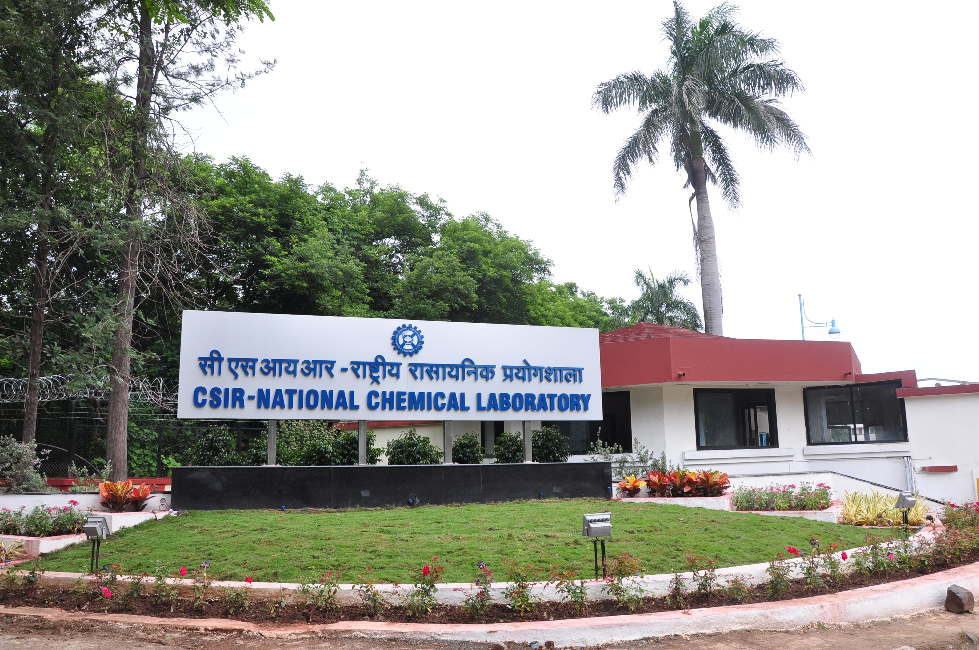 Project Assistance Job Vacancy @ National Chemical Laboratory, Pune