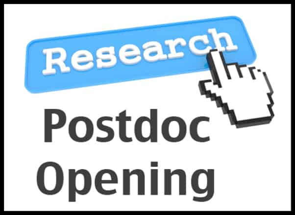 Post Doctoral Post Vacancy @ Indian Institute of Technology, Indore