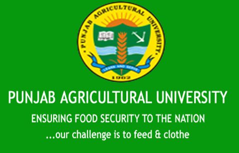 Job Vacancy For Msc Chemistry Candidates @ Punjab Agricultural University