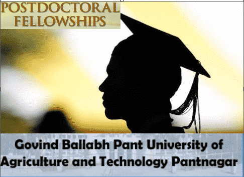 Post Doctoral Fellow @ G.B Pant University of Agriculture & Technology