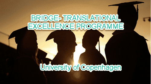 Post Doctoral Program @ University of Copenhagen | PhD in Pharmacy