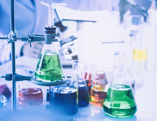 Chemistry & Pharma JRF Post Vacancy @ Rajiv Gandhi University