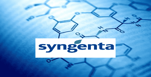 Phd & Msc Chemistry Research Jobs Available @ Syngenta