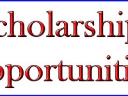 Dr. Eduard Gübelin Research Scholarship 2019-2020