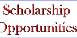 Dr. Eduard Gübelin Research Scholarship 2019-2020