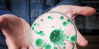 Chemistry Assistant Manager -R&D Post @ Hygienic Research Institute