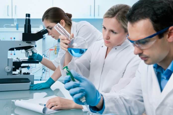 Msc Chemistry Senior Research Fellow @ Punjab Agricultural University
