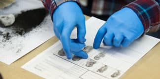 Govt of Delhi Forensic Science Laboratory Chemistry Job Opening 2019