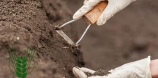 ICAR-Indian Institute of Soil Science Hiring Chemistry Candidates