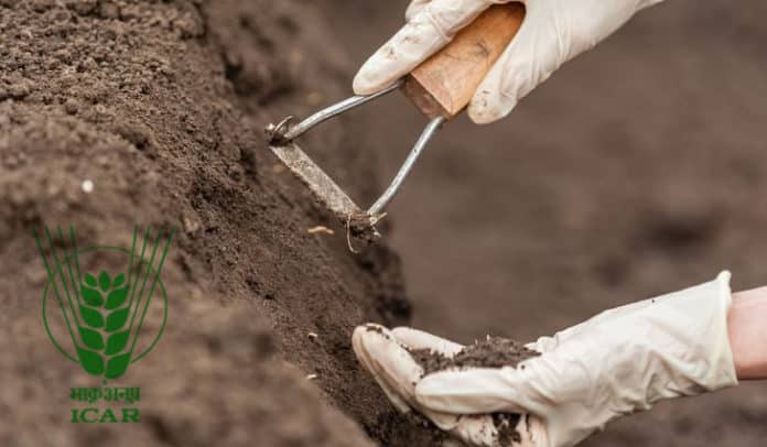 ICAR-Indian Institute of Soil Science Hiring Chemistry Candidates