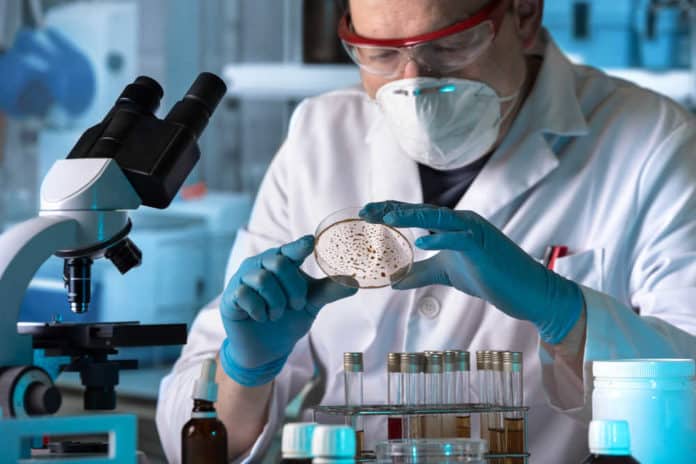 Msc Chemistry Project Assistant Post Vacancy @ CSIR-CECRI