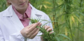Chemistry Research Scientist , Crop Science Post @ Jubilant Life Science