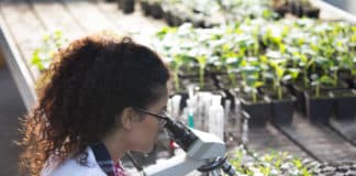 ICAR-IARI, Msc Chemistry Junior Research Fellow Post Vacancy