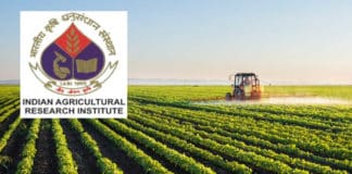 Chemistry Jobs at IARI, Young Professional Post Vacancy