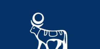 Chemistry & Pharma Jobs @ Novo Nordisk, RA Associate Analyst