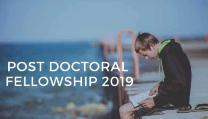 Post-Doctoral Fellow Post at the Department of Chemistry, IIT Kanpur