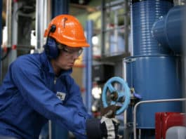 Chemical job Lupin Ltd