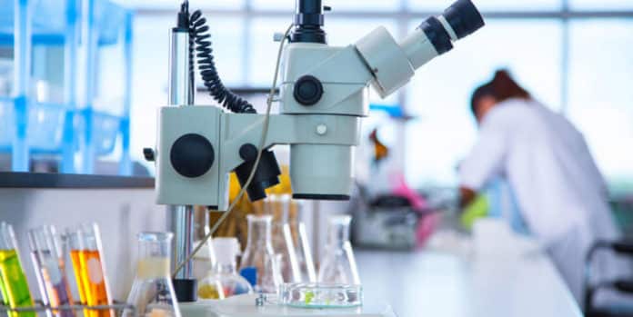 Msc Chemistry Junior Research Fellow at Alagappa University