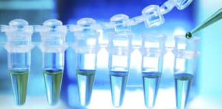 Chemistry Project Fellow Post Available in DST Project @ BHU