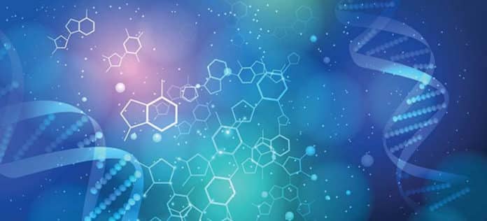 CSIR -CECRI Invites postgraduate Msc Chemistry and Pharma candidates