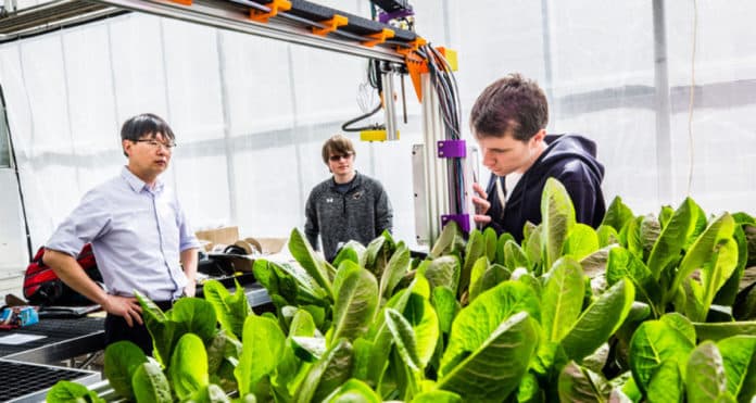 SRF Post under Agri-Consortia Research Platform-Water program @ ICAR