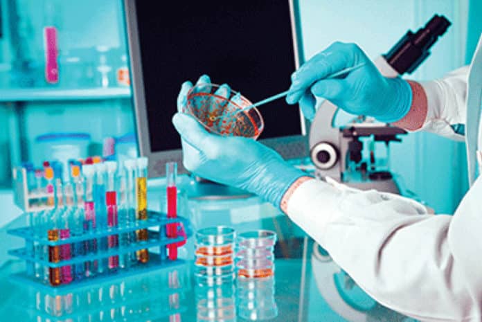 Chemistry Post Doctoral Fellowship Post @ IIT, Gandhinagar