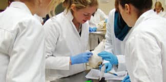 Freshers Jobs: Msc Chemistry R&D Trainee Post at Jubilant Life Science