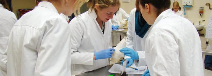 Freshers Jobs: Msc Chemistry R&D Trainee Post at Jubilant Life Science