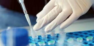 Msc Chemistry jobs at Central University of Jammu