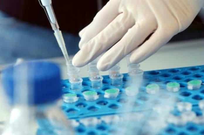 university of jammu Msc Chemistry jobs at Central University of Jammu