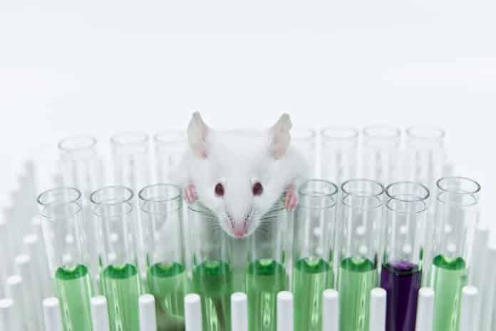 Msc, M.tech Chemistry Jobs @ ICAR-Indian Veterinary Research Institute