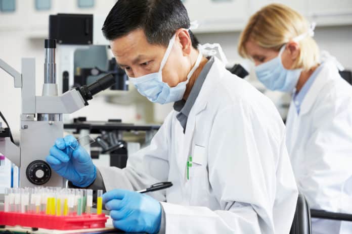 M Pharma Job Opening @ Mizoram University | Junior Project Fellow