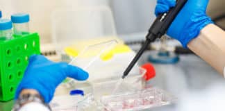 Bsc Chemistry Advance R&D Chemist Post @ PolyOne